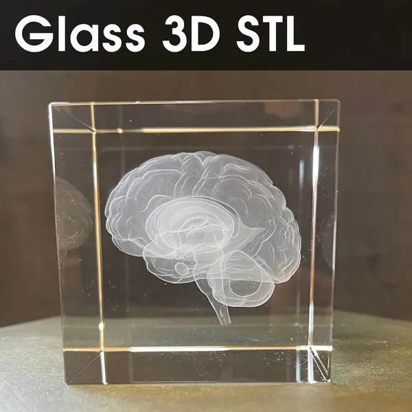 UV 3D crystal brain