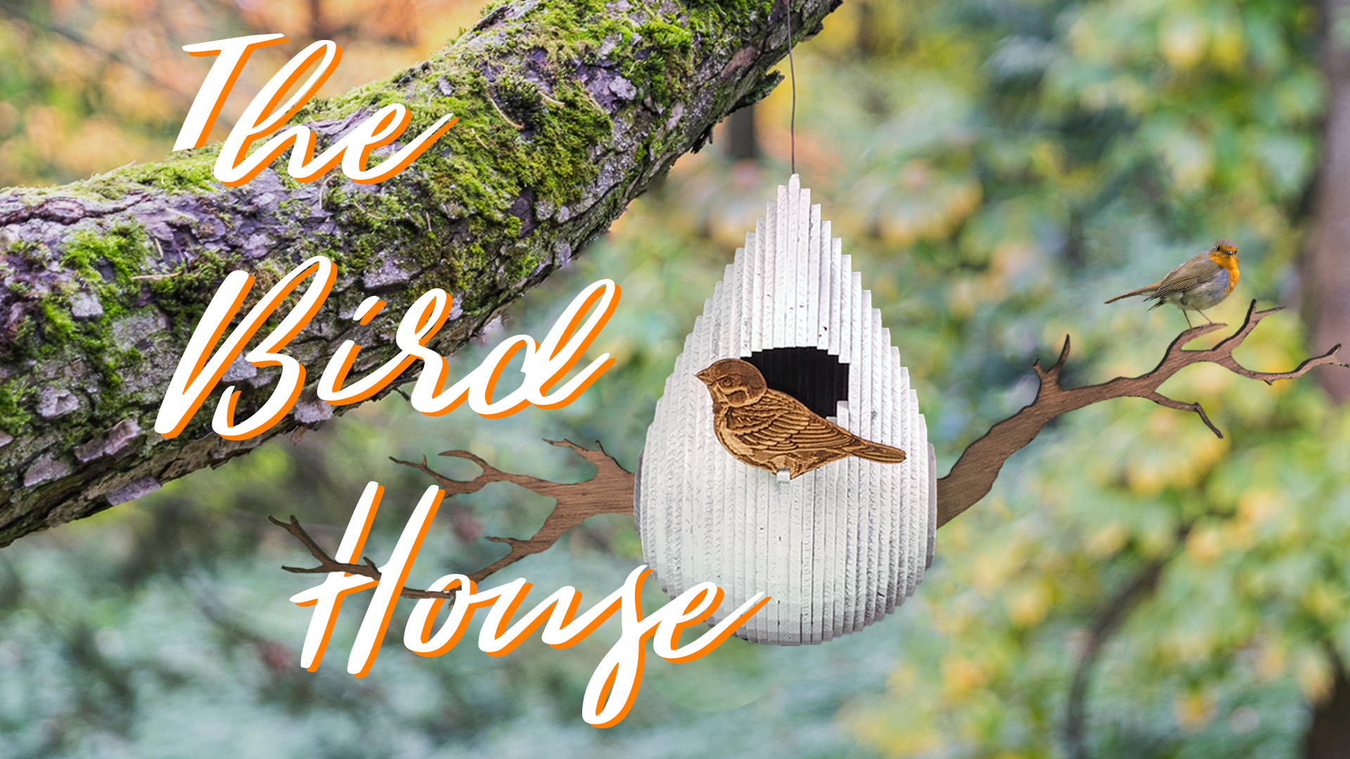 #0054 Bird House
