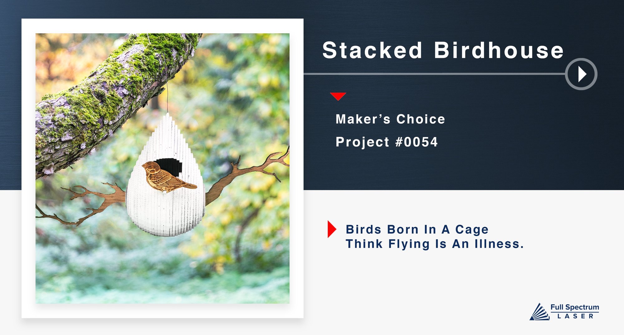 BirdHouse.jpg