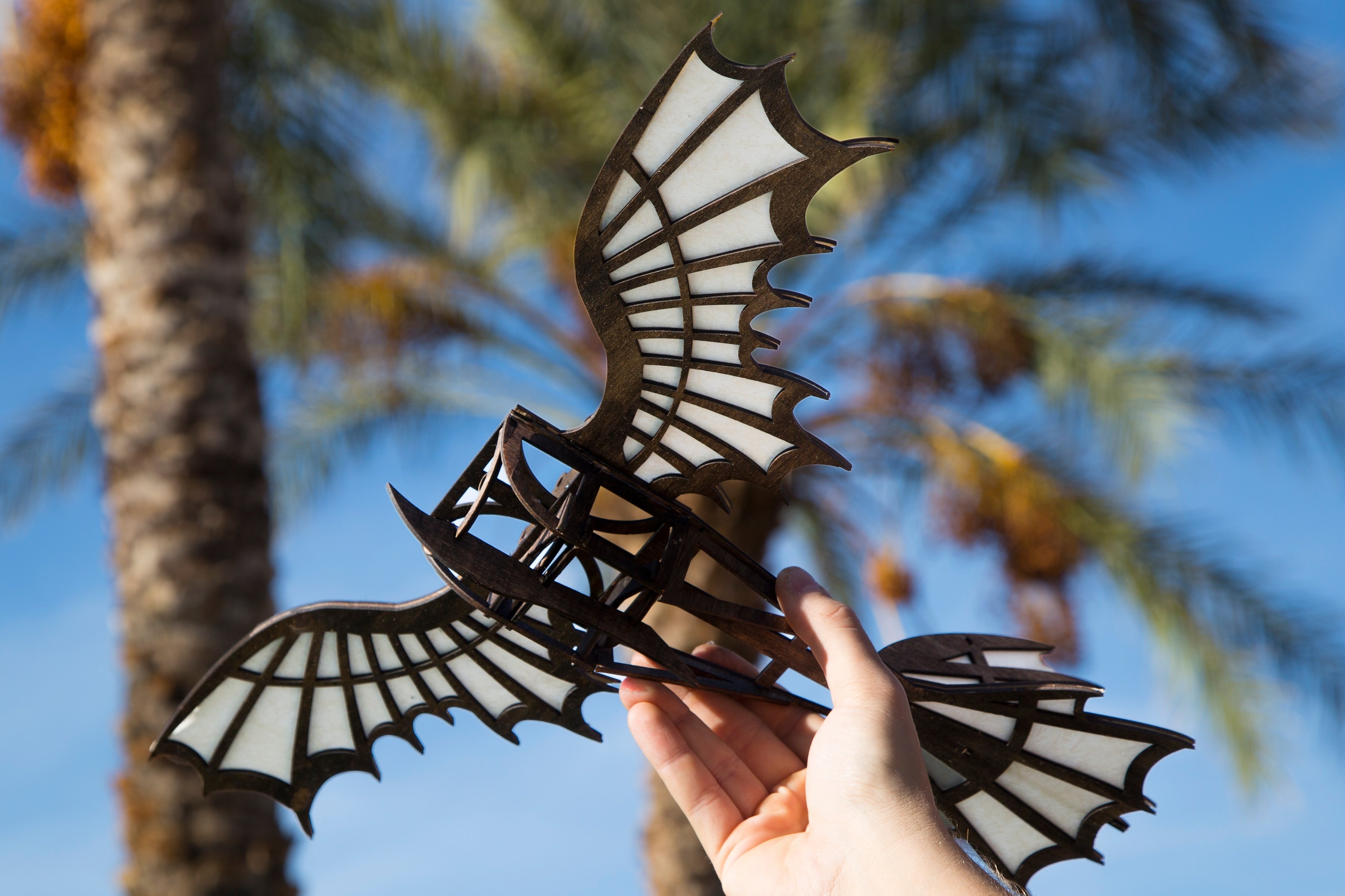 Da Vinci Flying Machine FSL Project Header.jpg
