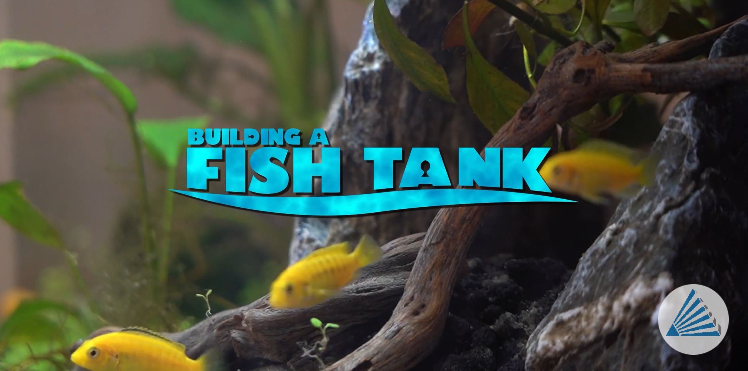 fish tank