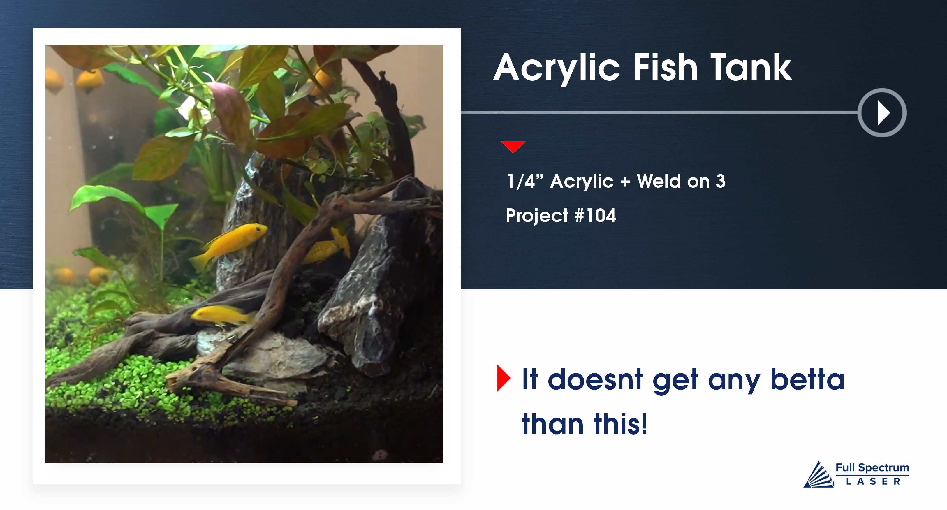 wekkly fish tank fsl
