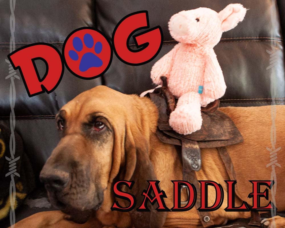 laser cut dog saddle costume halloween turner.jpg